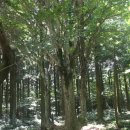 사려니숲길 쉐어하우스 이미지