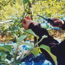 해오름농장-1 이미지