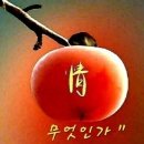 복돼지네 이미지