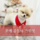 디어몽 이미지