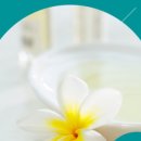 척추바른안마원 이미지