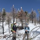 2026.2.21 Big Bear / Exploration Trail 이미지