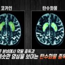 투데이웰