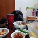 이스톤 의원 이미지