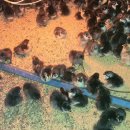 청계슈퍼 이미지