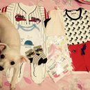 조선옥갈비 이미지