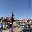 수양호 | 인천 쭈꾸미낚시 | 초보 가을 쭈꾸미 오후 낚시배 수양호 후기