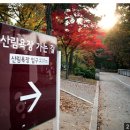 숲길 걷는 동물원 나들이 서울대공원 산림욕장﻿ 이미지