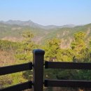 매일왕순대 이미지