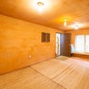 둥지애견 이미지