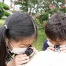 두원초등학교 이미지