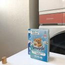 드라이랑 빨래랑 | 건조기 시트 추천 빨래 섬유유연제 스너글 드라이시트 건조기시트