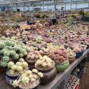 기찬농장 이미지