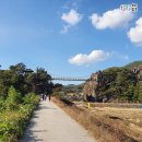 [국도3] 충주시 향산리