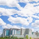 메디팜365약국 이미지