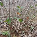 김종섭농장 이미지