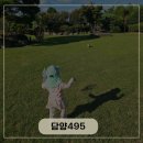 담양495-10 | [담양] “아이들과 떠난 담양 독채펜션 여행기😍 수영장+노래방까지 다 있는 곳!” 담양495 펜션