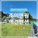 주목나무펜션 | 안면도 조이앤원애견펜션-대형견도 마음껏 뛰어놀 수 있는 태안애견펜션 후기