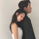 팔렛필즈
