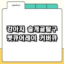 이원건강의료기 발산점 | 강아지 슬개골탈구 치료기 펫큐어레이 커버큐 사용법과 효과