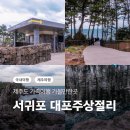 칠절리 | [공지] 제주도 가족여행 가볼만한곳 서귀포 대포주상절리 입장료 주차 후기