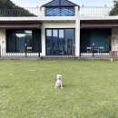 폴짝하우스 이미지