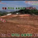 영월전원부동산공인중개사사무소 이미지
