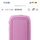 29인데 캐리어 뭘로 살까? 이미지