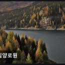 엘림양로원 이미지