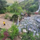 견불동정원 이미지