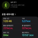 클라우드나인(cloud9) | [발리/우붓] 인생 사진과 건강 다 챙기는 짬뿌한 릿지 워크 트래킹 러닝 코스 시간 및 꿀팁