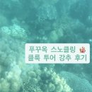 산호 A | 푸꾸옥 스노클링 투어, 산호 가득했던 맑은 바다 내돈내산 후기 &amp; 클룩 쿠폰 코드