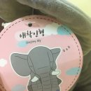 코끼리인형뽑기 이미지