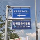 양평곤충박물관 | 경기도 양평 곤충박물관 재방문 후기 l 여름방학 아이와 가볼 만한 곳