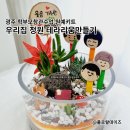 신창초등학교 병설유치원 네이버블로그