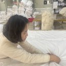 보성이불 이미지