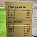 일우사우나 네이버블로그