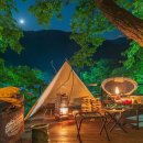 씨엠캠프 이미지