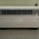 구미라지에타 이미지