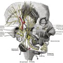 달천한의원 이미지