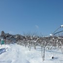 일봉농장 이미지