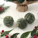 (주)그린퓨어 이미지