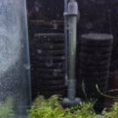 고래의꿈 수족관 이미지