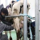 임상 농장 이미지