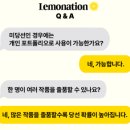 선인I 이미지
