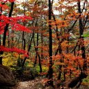 군산백산산악회 10월(126회) 속리산 산행안내 이미지