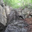 홍유상회 이미지