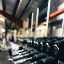 트루머슬짐 이미지