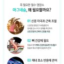 걸스투맘 네이버블로그