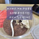 덕풍동로 | 소닉이 새 친구 데려온 날! 티그리스 게코 하남본점 도마뱀 분양 후기(아이와 함께방문)